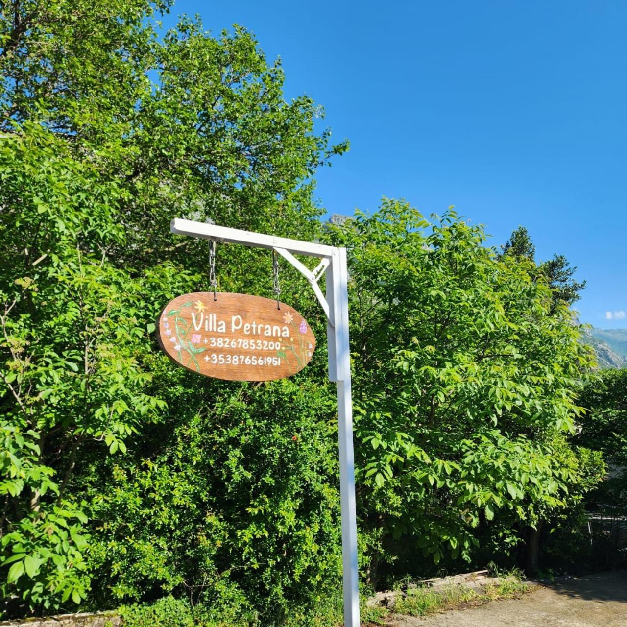 Villa Petrana Котор Экстерьер фото